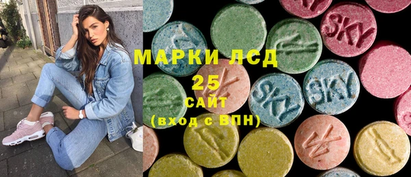 PSILOCYBIN Лагань