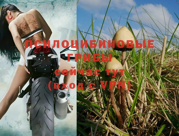 PSILOCYBIN Лагань