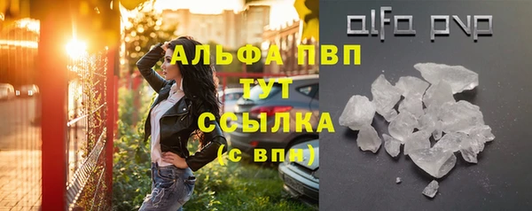 PSILOCYBIN Лагань